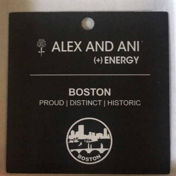 Alex and Ani Boston Bracelet - Picture 3 of 4